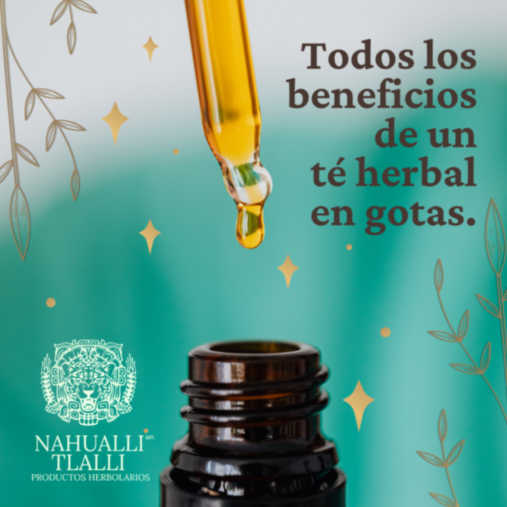 Todos los beneficios de un te herbal en gotas.